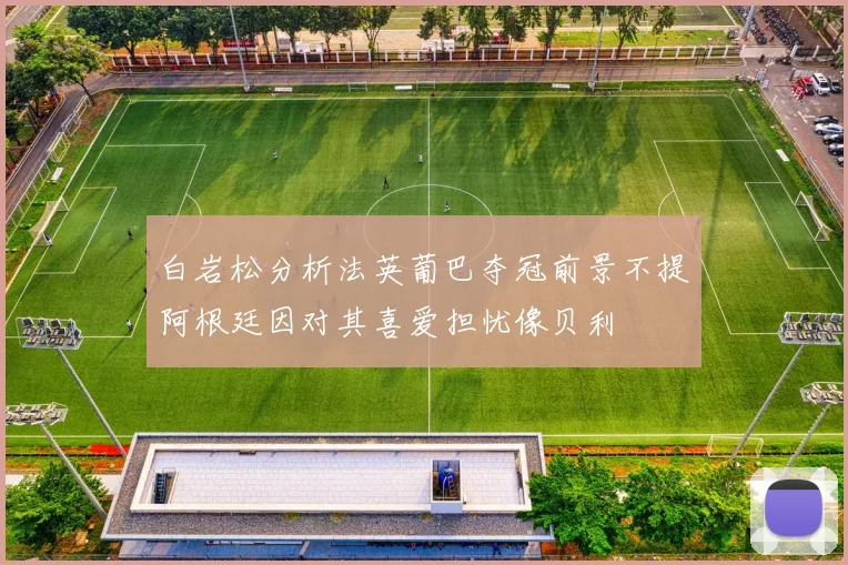 白岩松分析法英葡巴夺冠前景不提阿根廷因对其喜爱担忧像贝利
