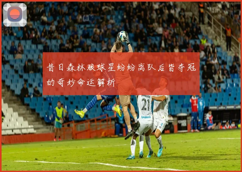 昔日森林狼球星纷纷离队后皆夺冠的奇妙命运解析