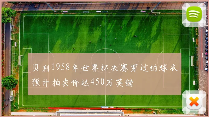 贝利1958年世界杯决赛穿过的球衣预计拍卖价达450万英镑